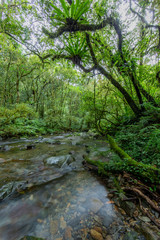 Fototapeta na wymiar Long exposure panorama picture of a river flowing through a rain forest on the island of Taiwan during daytime
