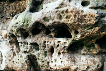 The relief of the rocks covered with moss.