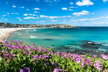 Naklejka premium Amazing Bondi Beach, Sydney Australia