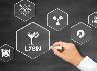 Lysin