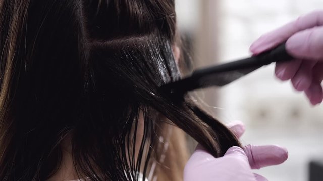 A stylist is working with hair. The hairdresser is coloring hair in the studio. The professional hairdresser is applying the color.