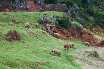 Nature Park of Cabárceno, Cantabria; Spain. Image.