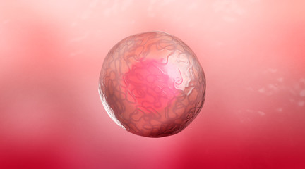 Medically Accurate Illustration of Human Cells, 3D Rendering