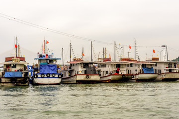 Naklejka premium Six Sterns of Traditional Vietnamese Halong Bay Square Head House Boats at a Marine in Halong Bay Vietnam Flying the Vietnamese Flag