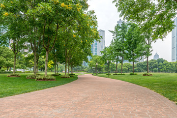 city park with modern building background in shanghai