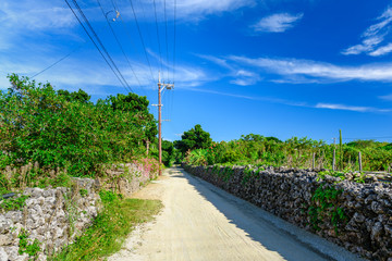 竹富島　街並み