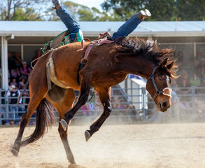 rodeo