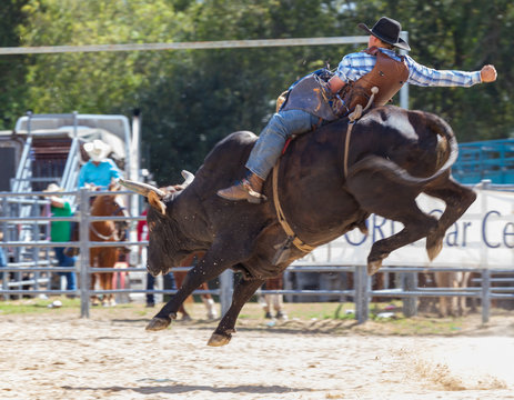 rodeo