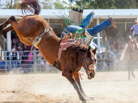 rodeo