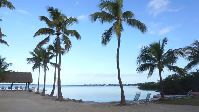 Serene view of thatched shelter and coconat palms from ocean coast