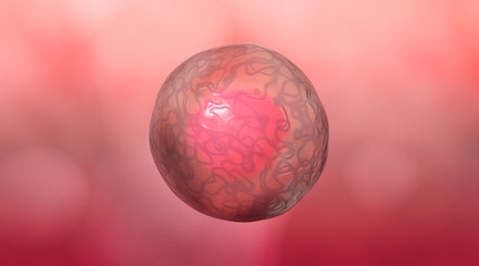 Medically Accurate Illustration of Human Cells, 3D Rendering