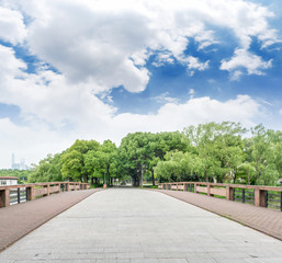 Path under the trees in the park