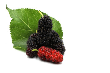 Mulberry balls and mulberry leaves on a white background