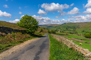 Yorkshire Dales landscape near Gunnerside, North Yorkshire, England, UK
