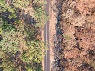 High angle aerial bird's eye drone view of a country road near Sydney, New South Wales, Australia,...