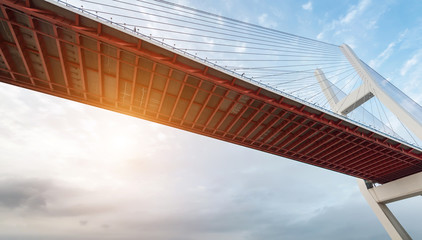 Modern bridge cables, twilight landscape.