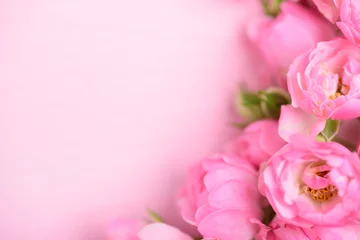 Tuinposter Beautiful pink roses blooming on pink background with copy space © nungning20