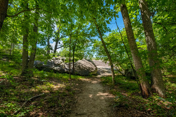Mountain View Trail, Arabia Mountain, Georgia, USA	