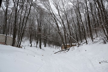 Fototapeta premium Narrow gorge of the Tip-Tyav mountain in the Sokol mountains massif