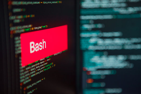 Programming language, Bash inscription on the background of computer code.