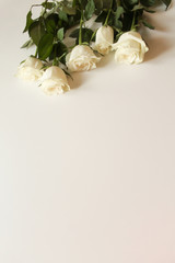 Fototapeta na wymiar Bunch of white roses on blank surface with copy space for text. Backdrop for Saint Valentine's Day, International Women's Day, Mother's Day. Romantic greeting card, poster, invitation template