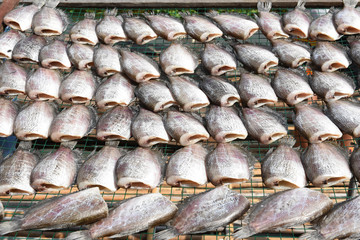 make dry gourami fish by sunlight