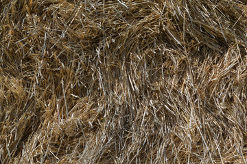 background of straw