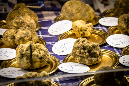 White truffles for sale at the truffle festival in Alba Italy