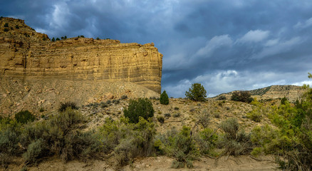 Barrier Sego Canyon, Utah  