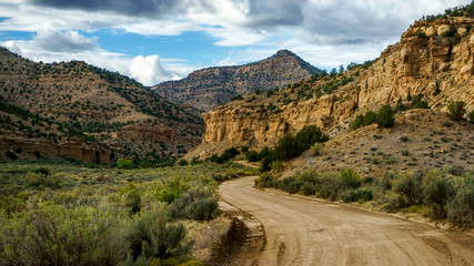 Barrier Sego Canyon, Utah  