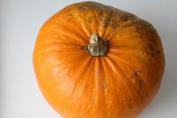 Raw whole big orange pumpkin on the white background