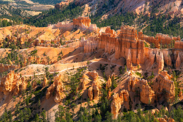 Hoodoos and Forest at Bryce Canyon National Park