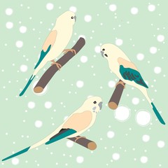Set of three cute parrot birds sitting on branch and ladder
