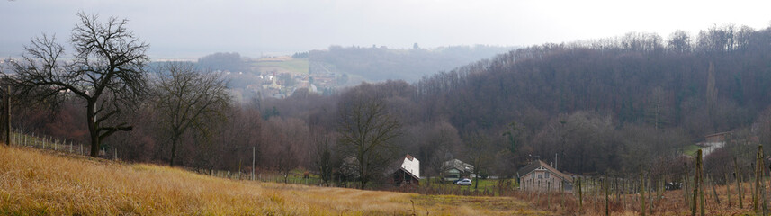 Vincek's hike 2020. Medimurje hills during the hike. Panorama