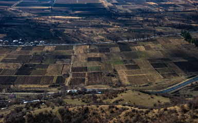 Vineyards in Manavi, Kakheti region