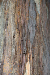 old wood texture