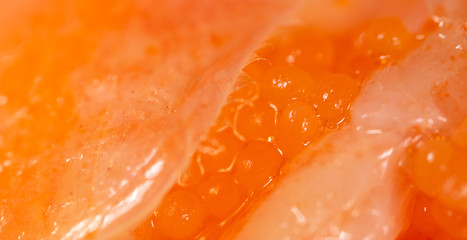 Red caviar in a shrimp as a background