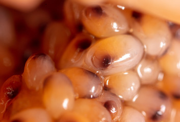 Red caviar in a shrimp as a background