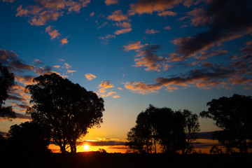 Sunset, darkness and night, view to the sun almost over the horizon, black silhouettes of trees. Australia. High contrast.