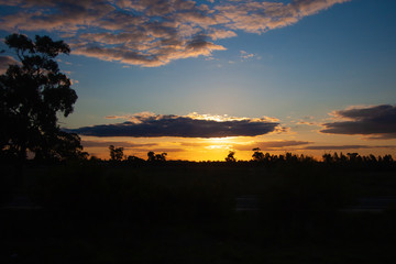 Sunset, darkness and night, view to the sun through a cloud. A black silhouette of a tree on the left side. Australia. High contrast.