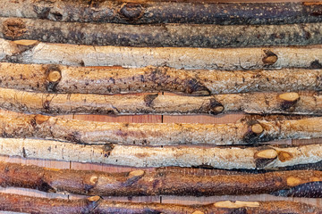 Texture of mixed birch branches. Wooden background for copy space.