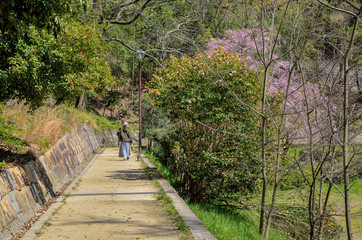 Obraz premium 京都一周トレイル 東山コース