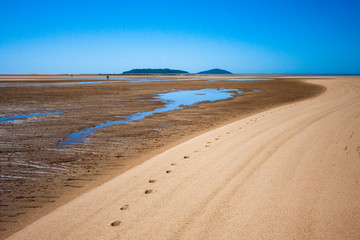 The coastal strip (coastline, beach) at low tide. A wide strip of desert sand to the horizon, a desert area with wet sand. A chain of tracks along the beach. Makey, Queensland, Australia.