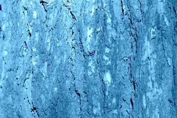 Old tree bark illuminated by the sun on a summer day close-up. Natural abstract background blue color toned