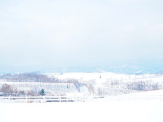 冬の美瑛の丘