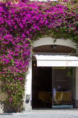 cafe with flowers in Rome