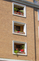 wall with three open windows