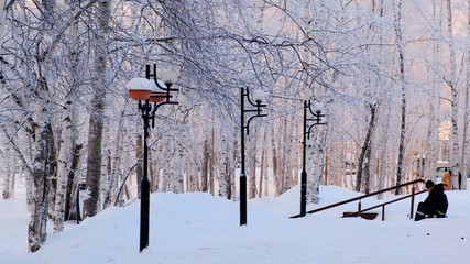 Winter park with lanterns. Winter trees are covered with hoarfrost. Wonderful winter scene
