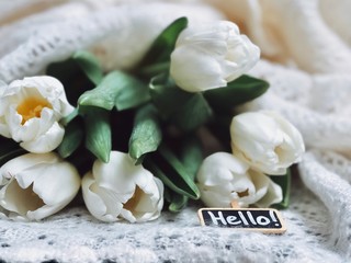 Valentines morning with white tulips