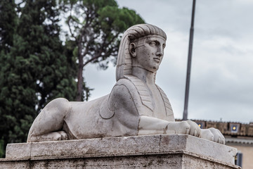 Fototapeta na wymiar Sphinx statue în People's Square ( Piazza del Popolo ) , in Rome, Italy